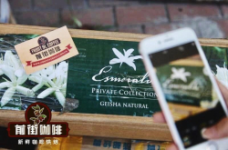 巴拿马翡翠庄园绿标瑰夏咖啡豆的风味口感特点等级介绍