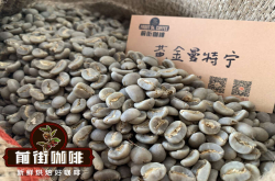 PWN曼特宁 G1 & 黄金曼特宁咖啡的独特之处 与其他曼特宁的不同