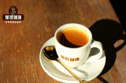 意式浓缩咖啡espresso怎么做出丰富油脂？crema由什么物质构成？