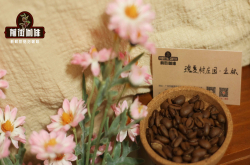 传奇咖啡豆品种特点|巴拿马入门级首选哪款瑰夏咖啡 百元内必买瑰夏咖啡种类