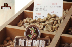 肯尼亚咖啡生豆分级制度AB和AA区别 肯尼亚咖啡产区风味特点描述
