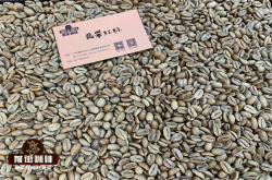 传统咖啡豆处理法有哪几种？咖啡常见的日晒水洗蜜处理法咖啡豆介绍