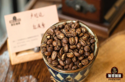 卢旺达咖啡怎么手冲？卢旺达Murundo CWS处理厂介绍 卢旺达水洗