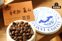 “两湖双曼”曼特宁和牙买加蓝山的区别？曼特宁咖啡蓝山咖啡对比