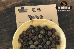 巴西咖啡产国最大和最著名的 3 个咖啡种植州的特点和风味介绍