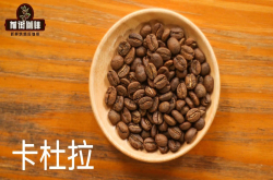 如何烘焙卡杜拉咖啡豆_卡杜拉咖啡冲煮建议_卡杜拉咖啡多少钱一杯