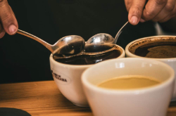 巴拿马咖啡豆风味描述口感产地区庄园处理法介绍 Panama Geisha