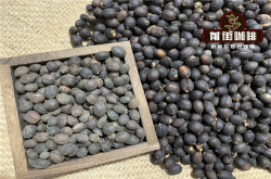 云南小粒咖啡豆产区品种风味特点科普 云南也有精品咖啡豆没有你想的那么差