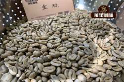 埃塞俄比亚瑰夏村金标绿标是什么？瑰夏村瑰夏咖啡有什么风味口感特点？