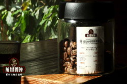 如何鉴别真假蓝山呢？正品蓝山咖啡证书价格风味特点