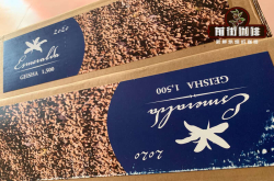巴拿马瑰夏蓝标咖啡豆特点 巴拿马瑰夏蓝标咖啡喝法