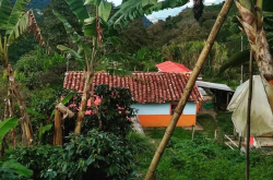 哥伦比亚希望庄园La Esperanza与旗下蓝色山丘庄园Cerro Azul介绍