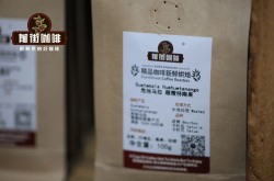 南美咖啡产区|一篇文章了解危地马拉咖啡豆风味特点