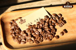 巴布亚新几内亚奇迈尔庄园PB圆豆精品咖啡豆的手冲参数建议
