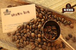 咖啡工房研习课室：哥斯达黎加葡萄干蜜处理音乐家系列巴哈莫扎特咖啡豆