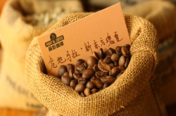 危地马拉咖啡七大产区｜各有什么风味特点？等级划分有哪些？