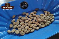 水洗咖啡豆的处理过程 水洗加工方法中烘咖啡豆推荐