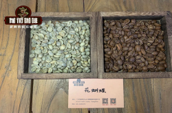 茶感咖啡推荐 Panama Boquete花蝴蝶瑰夏咖啡豆口味手冲喝法