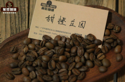 洪都拉斯咖啡豆口感 甜橙庄园咖啡豆浅烘手冲研磨度冲煮风味描述