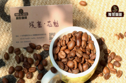 新手入门咖啡豆选购指南_入门手冲咖啡豆怎么买_咖啡豆入门推荐