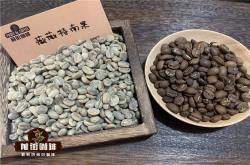 墨西哥恰帕斯州高产区的咖啡与危地马拉咖啡的风味对比