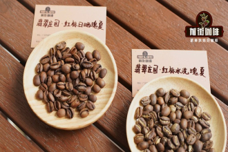 花香咖啡豆，三条浓淡口感线帮你选