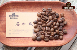 美洲特产哥斯达黎加咖啡产区介绍手冲风味口感特点描述