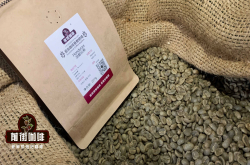 拉丁美洲咖啡豆单品豆特点风味描述特征品种