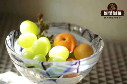 热带水果香气精品咖啡 明亮跟复杂的酸质风味浓郁咖啡豆