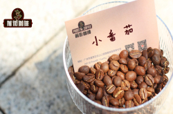 肯尼亚最好的AA推荐 什么才是经典的肯尼亚风味 精品肯尼亚介绍
