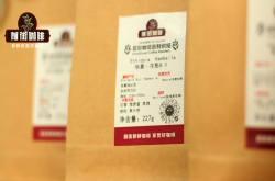手冲咖啡豆推荐 手冲咖啡用什么咖啡豆--西达摩G1 古吉 爱丽丝