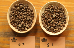 西达摩如何分级？埃塞俄比亚西达摩咖啡豆的G1、G2是什么意思？