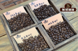 林东曼特宁/黄金曼特宁/陈年曼特宁/老虎曼特宁咖啡豆风味特点