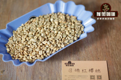埃塞俄比亚水洗G1级耶加雪啡 浅烘中烘深烘SOE耶加雪啡咖啡豆怎么选