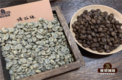哥斯达黎加咖啡豆与危地马拉咖啡豆分级标准一样吗？SHB、GHB 怎么分