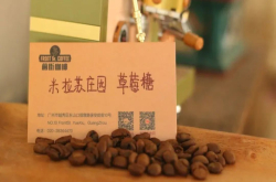 教你用摩卡壶做标准的花式咖啡 摩卡壶花香咖啡豆有哪些参考