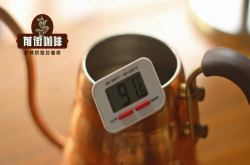 中深度烘焙咖啡手冲是什么风味？巴西咖啡豆萃取温度比例介绍