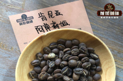 肯尼亚咖啡和埃塞咖啡哪种比较酸 肯尼亚阿萨莉娅咖啡风味特点