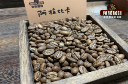 阿拉比卡咖啡品种：手冲咖啡入门级知识和咖啡豆介绍