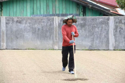 湿刨法的咖啡豆怎么喝？湿刨法和半水洗干燥有什么关系？