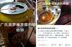 塌房？广式菠萝啤喝出蟑螂