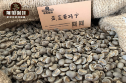 黄金曼特宁咖啡为什么比G1曼特宁还要昂贵？曼特宁SOE