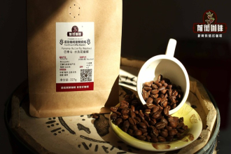 一杯咖啡的浓淡地图：三类好喝豆子怎么挑