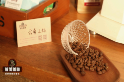 云南小粒咖啡豆品牌推荐 中烘云南意式拼配咖啡豆风味特点