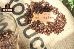 苏门答腊和曼特宁黄金曼特宁比较高的醇厚度 酸度偏低传统湿刨法
