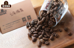 云南瑰夏咖啡风味特点 云南瑰夏咖啡是什么时候开始种植哪里来的？