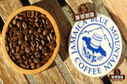正宗蓝山咖啡属于阿拉比卡吗 怎么挑到好喝不贵的正宗蓝山咖啡豆