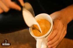 CAMPOS COFFEE 澳洲咖啡馆做澳白Flat White喜欢用什么豆推荐