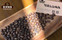 巴拿马努果庄园咖啡故事 努果庄园咖啡豆加工方式口感风味描述