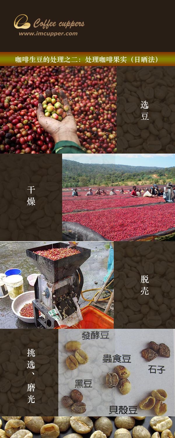 日晒法与水洗法有什么区别？咖啡生豆处理决定风味的关键